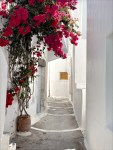 32-Milos Greece-Plaka